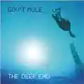 Gov't Mule The Deep End, Volume 1