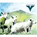 Laibach Volk