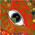The 13th Floor Elevators The Psychedelic Sounds of the 13th Floor Elevators