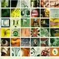 Pearl Jam No Code