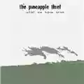 The Pineapple Thief What We Have Sown
