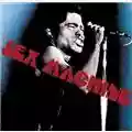 James Brown Sex Machine