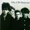 Echo and the Bunnymen Echo And The Bunnymen