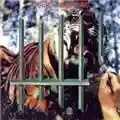 Tygers of Pan Tang The Cage