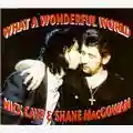 Nick Cave & Shane MacGowan What a Wonderful World