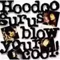 Hoodoo Gurus Blow Your Cool!