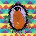 Wavves King Of The Beach
