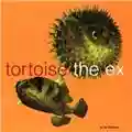 Tortoise & The Ex In The Fishtank 5