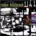 Robyn Hitchcock Storefront Hitchcock