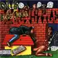 Snoop Doggy Dogg Doggystyle