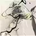 Autechre Draft 7.30