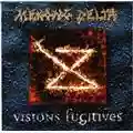 Mekong Delta Visions Fugitives