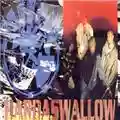 Radical Stuff Hardswallow