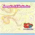 Honeybird & The Birdies Mixing Berries