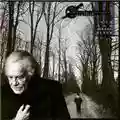 Sanctuary Into The Mirror Black