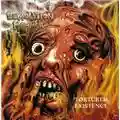 Demolition Hammer Tortured Existence