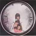 The Bee Gees Life in a Tin Can