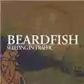 Beardfish Sleeping In Traffic: Part Two