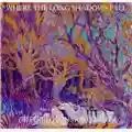 Current 93 Where The Long Shadows Fall
