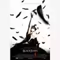 Darren Aronofsky Il Cigno Nero (Black Swan)