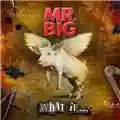 Mr. Big What If...