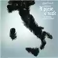 Afterhours Afterhours Presentano: Il Paese E' Reale