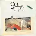 Antony And The Johnsons Swanlights