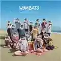 The Wombats This Modern Glitch