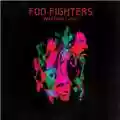 Foo Fighters Wasting Lights