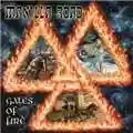 Manilla Road Gates Of Fire