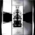 Thee Maldoror Kollective New Era Viral Order
