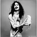 Frank Zappa Apostrophe (')