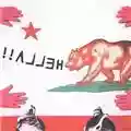 Hella Hold Your Horse Is