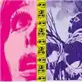The Jon Spencer Blues Explosion Plastic Fang