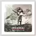 Alessandro Grazian Indossai