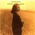 Sibylle Baier Colour Green