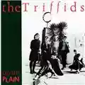 The Triffids Treeless Plain
