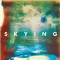 The Horrors Skying