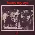 Radio Birdman Burn My Eye