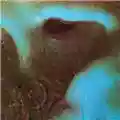 Pink Floyd Meddle