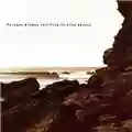 Polygon Window Surfing On Sine Waves