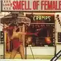 The Cramps Smell Of Female