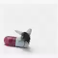Red Hot Chili Peppers I'm With You