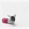 Red Hot Chili Peppers I'm with You