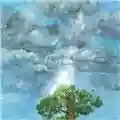 A Weather Everyday Baloons