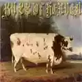 Bull Of Heaven Like a Wall in Which an Insect Lives and Gnaws