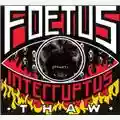 Foetus Thaw