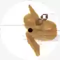 Dual Purpose Runfastmaybefaster