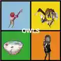 Owls Owls