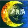 As I Lay Dying Shadows Are Security
